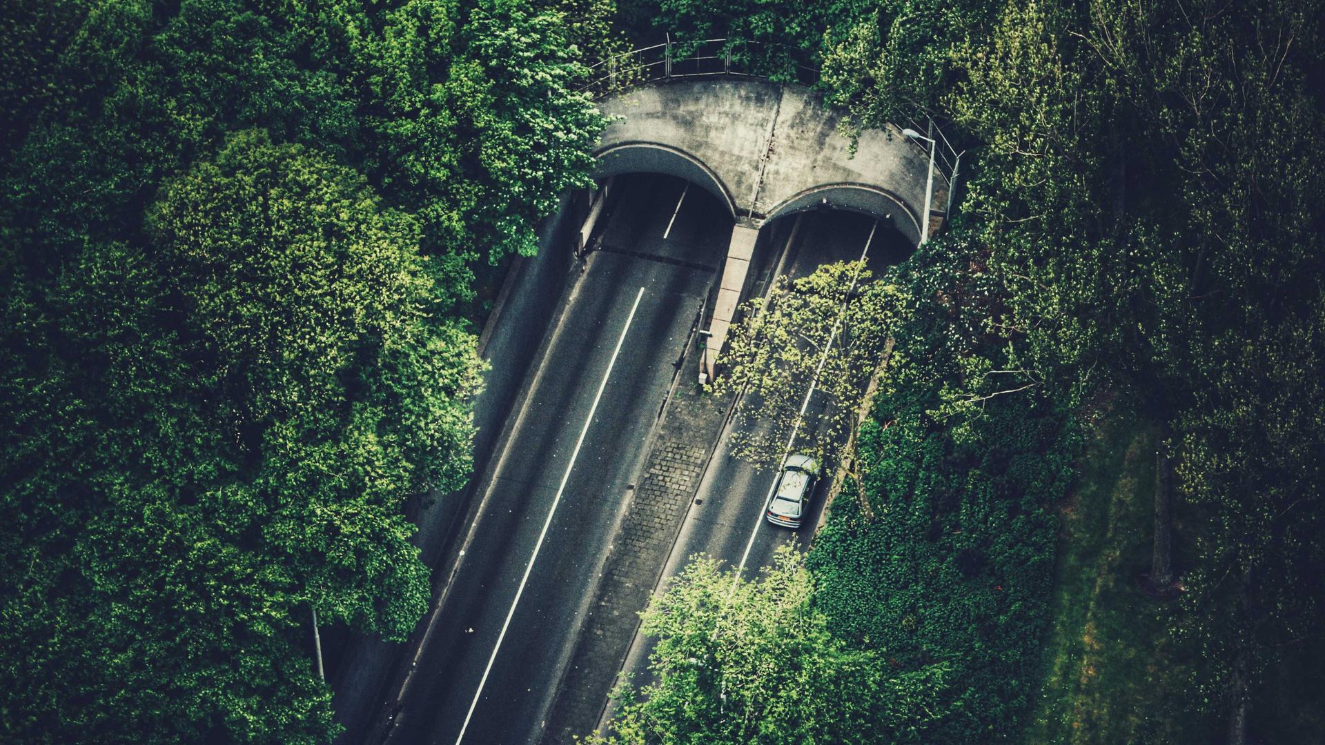 Et tog som går under Kakum nasjonalpark
