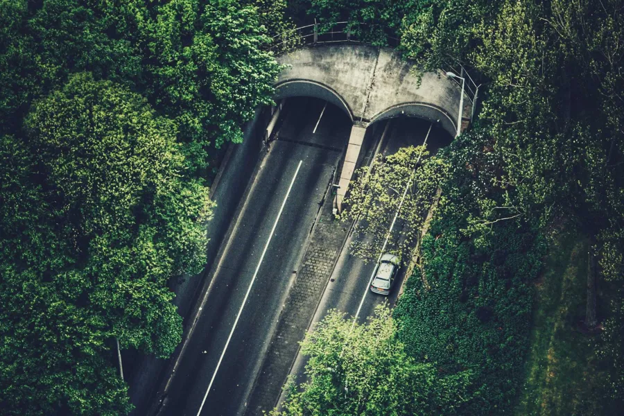 Et tog som går under Kakum nasjonalpark