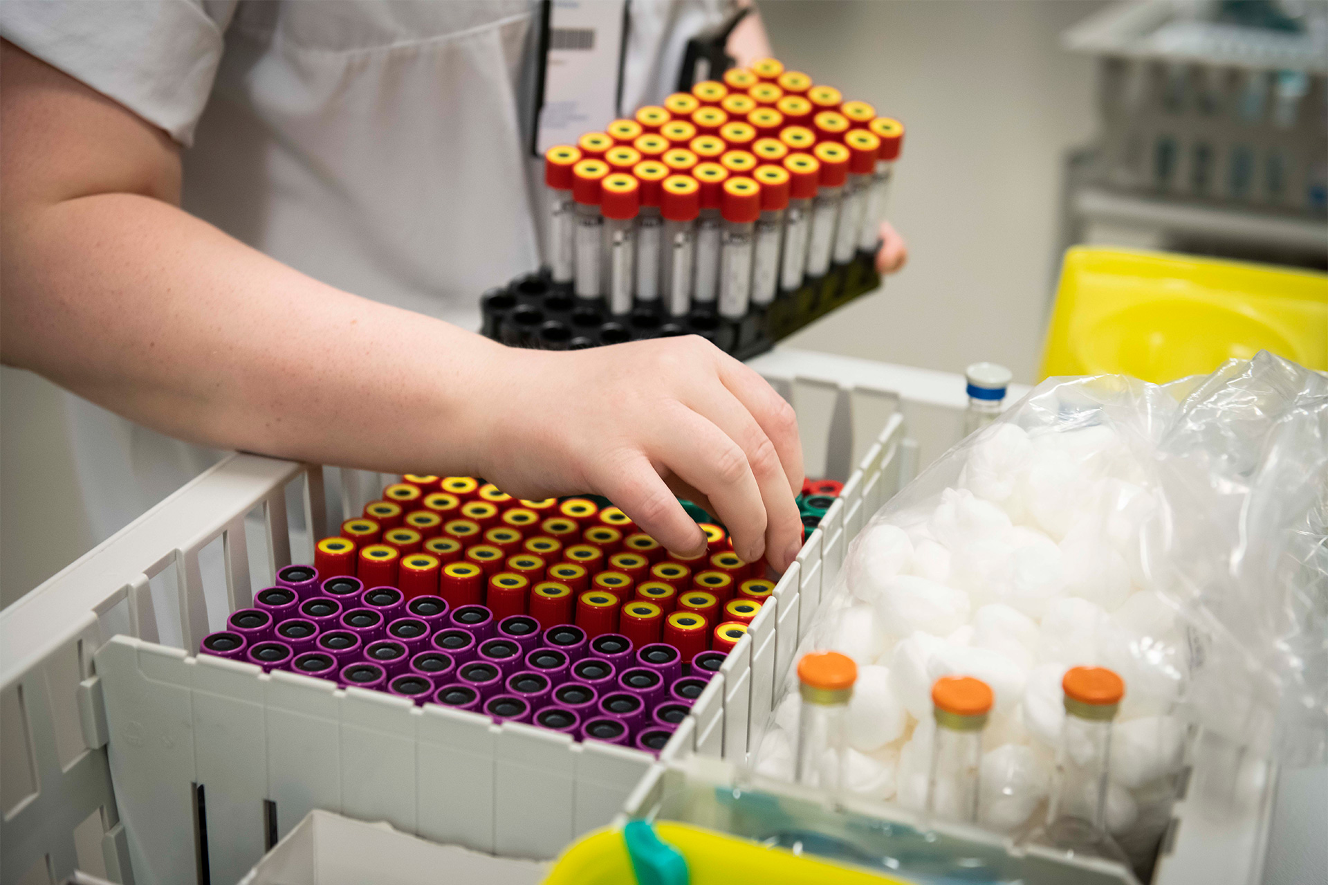 Foto av en hånd som setter ned reagensrør  i en skuff.