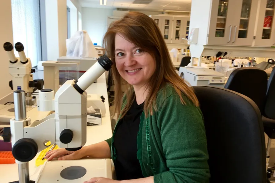 En kvinne i grønn skjorte