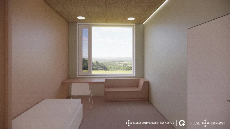 Et rom med en seng og et vindu