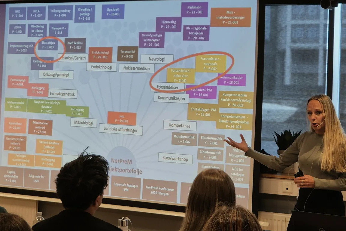 En person som holder en presentasjon