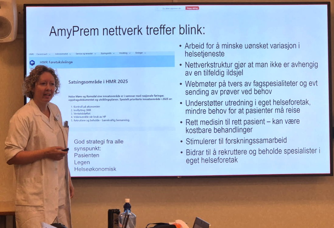 En person som holder en presentasjon