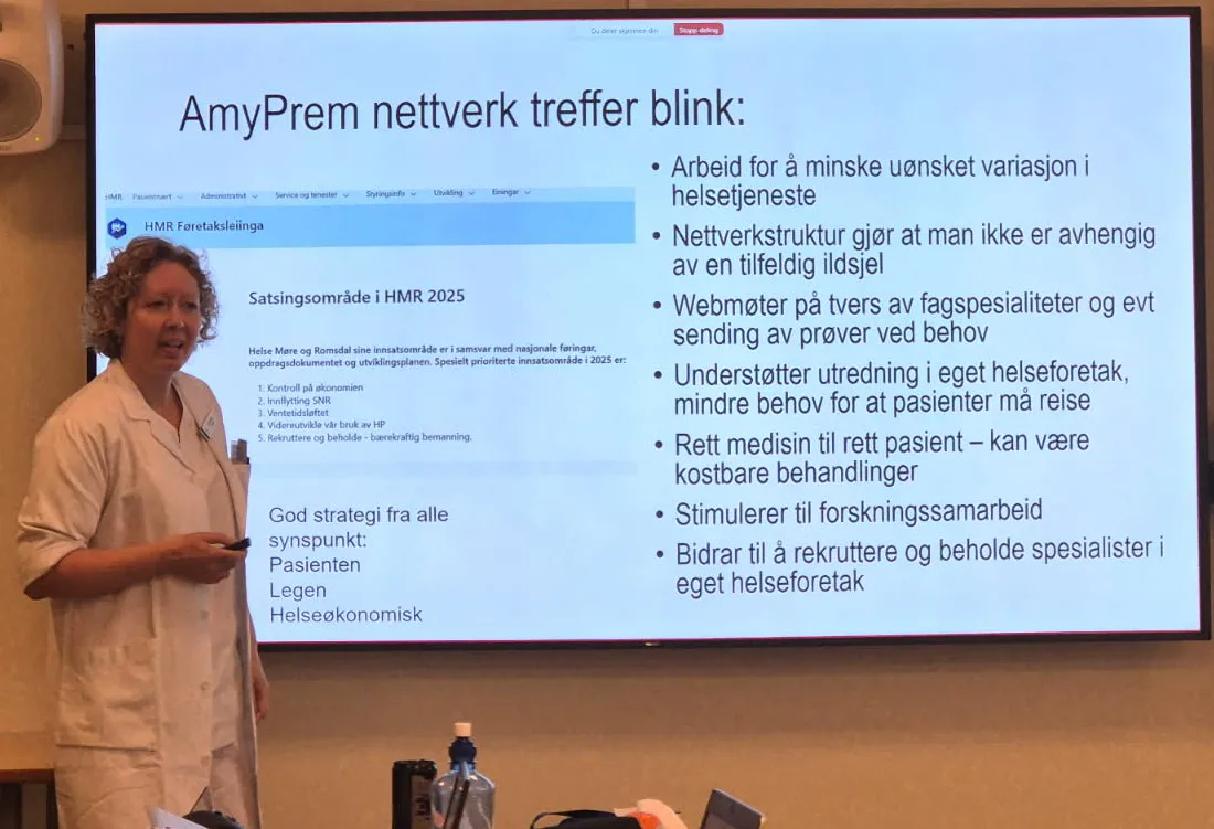 En person som holder en presentasjon