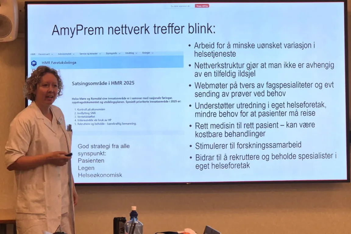 En person som holder en presentasjon