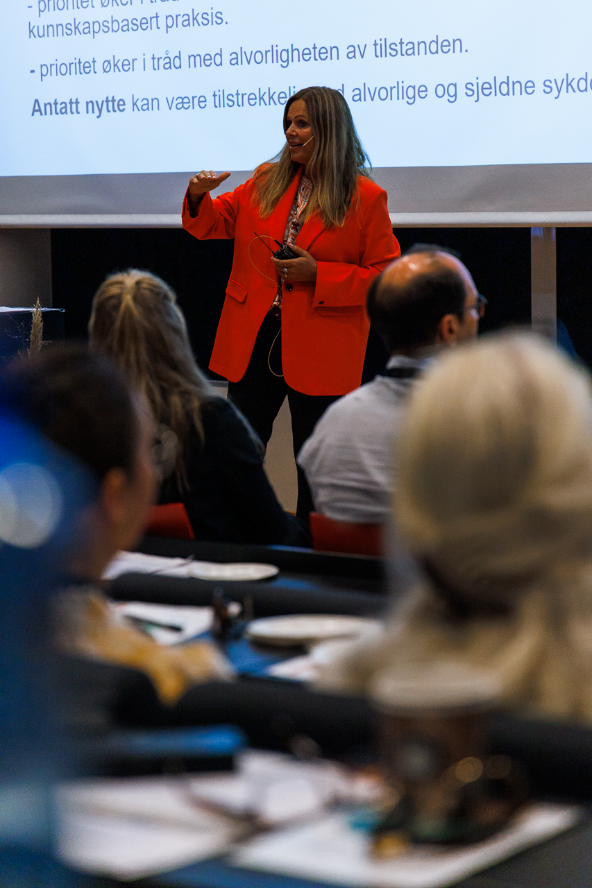 En person som holder en presentasjon
