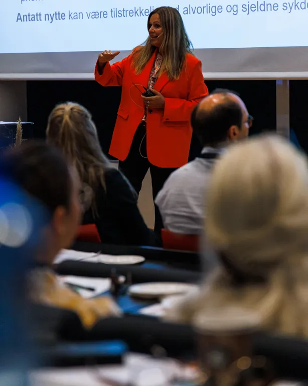En person som holder en presentasjon