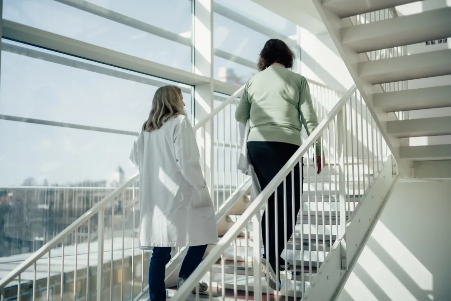 Et par kvinner som går opp en trapp