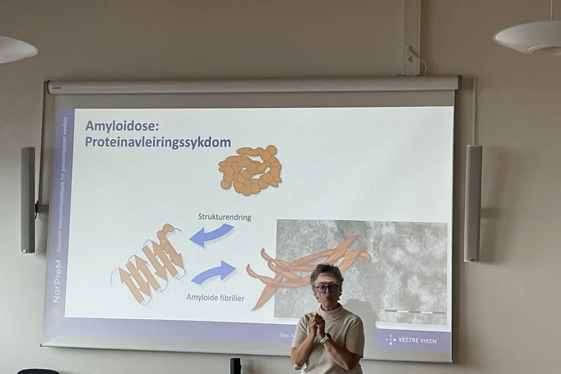 En person som står foran en projeksjonsskjerm