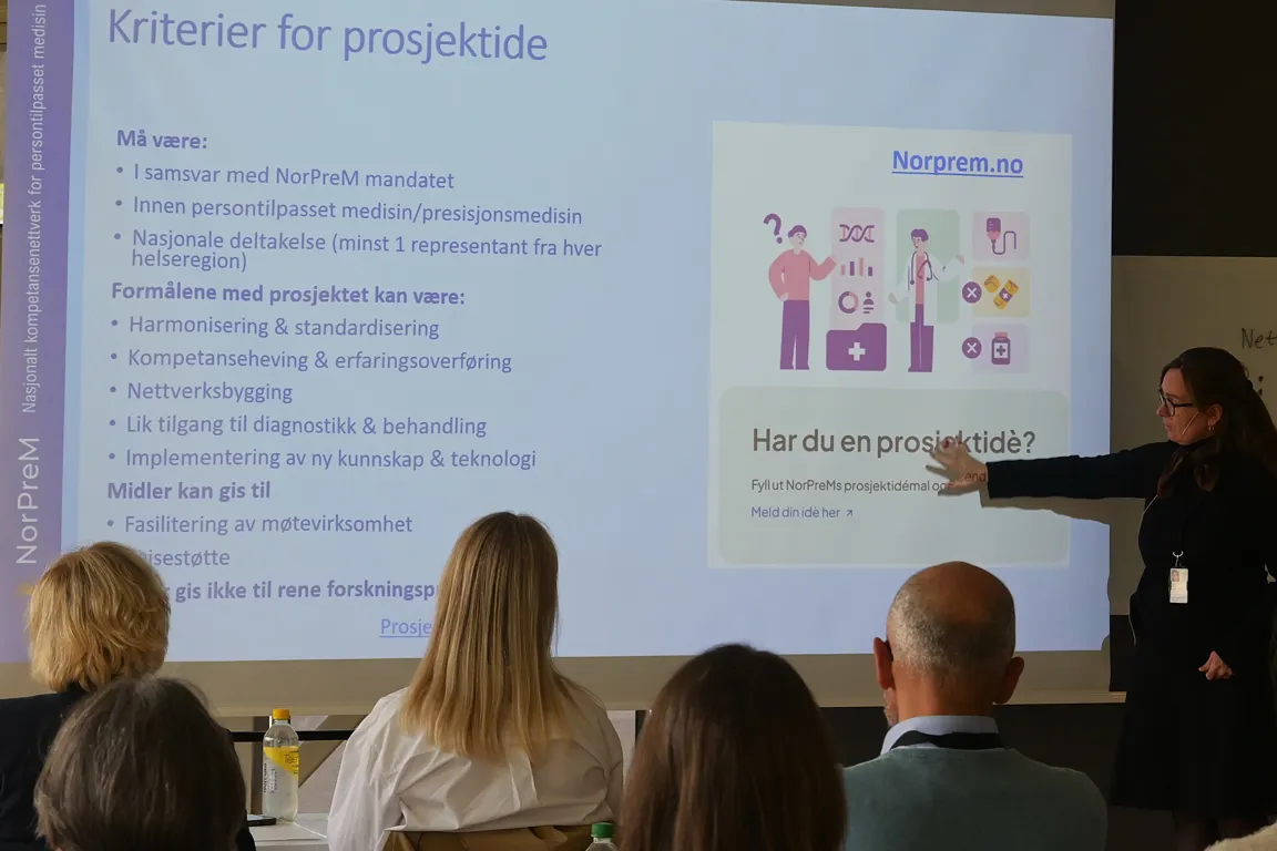 En person som holder en presentasjon