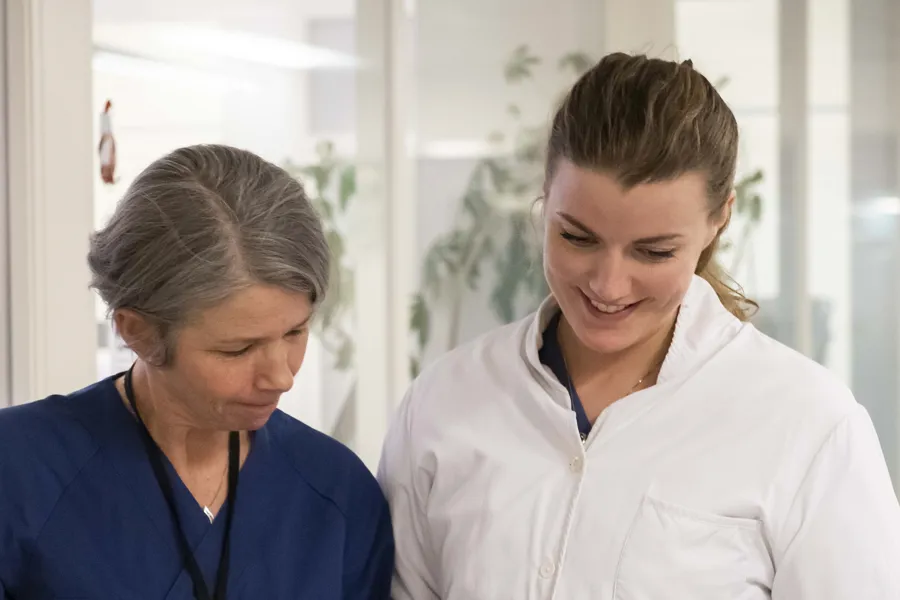 To ansatte ser ned på et papir