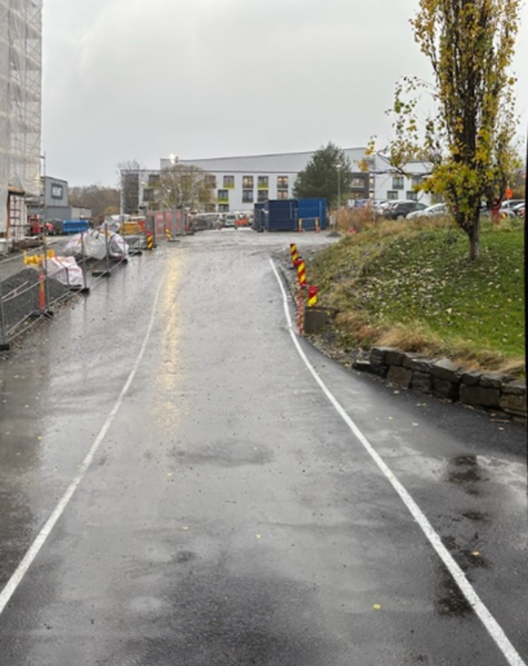 En vei med anlegg på siden