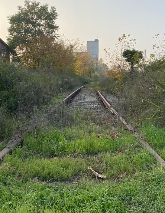 En trebro over et gressområde