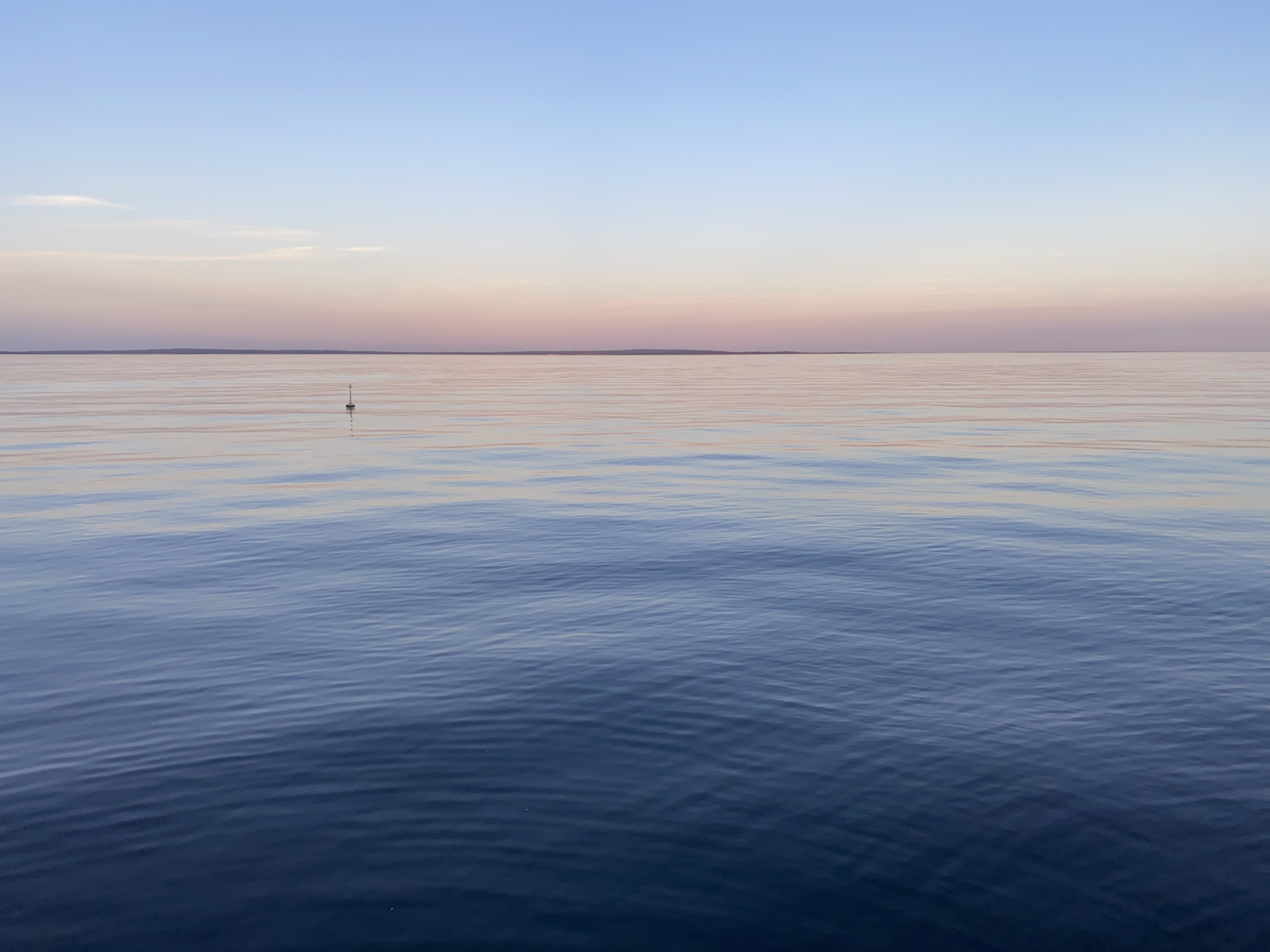 Et vannområde med en fugl i