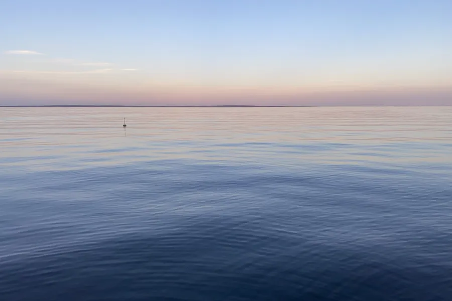 Et vannområde med en fugl i